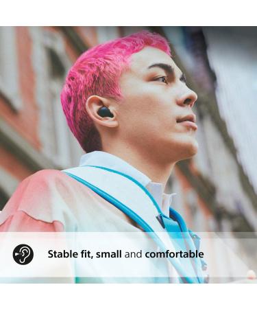 Sony WF-C700N Wireless Bluetooth Noise Cancelling Earbuds Black & Vax Platinum Professional 1.5 Litre Carpet Cleaner Solution | Deep Cleans and Removes Tough Stains | Neutralises Pet Odours - Buy Online on GoSupps.com