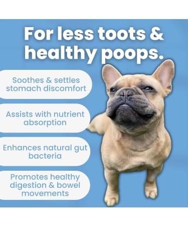 TJ Pro Digestive Probiotics for Dogs | Sensitive Stomachs, Skin Issues, Wind Relief | Prebiotic, Probiotic & Enzymes for Gut Health | Made in UK - Buy Online on GoSupps.com
