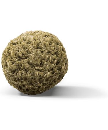 Vita Power Vita Special Senior Feed for Older Dwarf Rabbits - Omega Fatty Acids No Added Sugar - 600g (2-Pack) - International Shipping Available - Buy Online on GoSupps.com