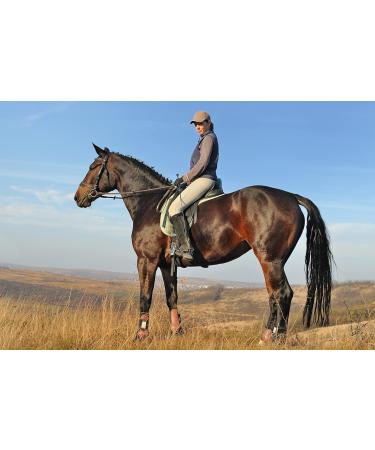 "BE COOL" COOKIES for a "Chilled Out" CALMER COOLER Horse - With Ashwagandha and B Vitamins - Buy Online on GoSupps.com