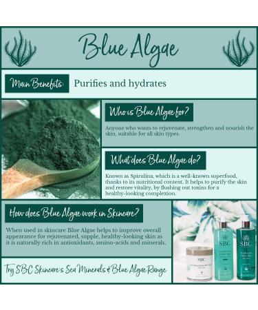 SBC Skincare Sea Minerals & Blue Algae Body Butter - 400ml | Hydrating Body Lotion With Hyaluronic Acid | Body Butter For Men And Women | Vegan Friendly Body Moisturiser | Body Cream For Dry Skin - Buy Online on GoSupps.com