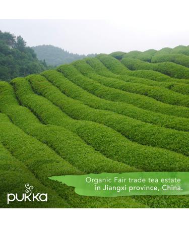 Pukka Supreme Matcha Green Tea - Organic Herbal Blend with Oothu Sencha & Suio Gang - 20 Count (Pack of 3) - Buy Online on GoSupps.com