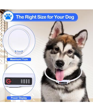 Luminous LED Dog Collar - USB Rechargeable Waterproof Adjustable Length 3 Lighting Modes - Yordawn Blue | Pet Safety Accessories - Buy Online on GoSupps.com