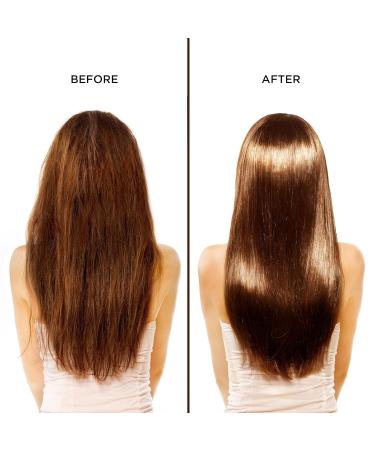 MOEHAIR Hair Guard Shampoo & Color Alive Conditioner - Repair Damaged Hair Protect Color Combat Frizz | Paraben & Sulfate-Free | International Shipping Available - Buy Online on GoSupps.com