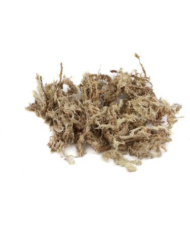 Sphagnum Moss for Terrariums & Orchids - Premium 4x1000g from Chile | International Shipping - Buy Online on GoSupps.com