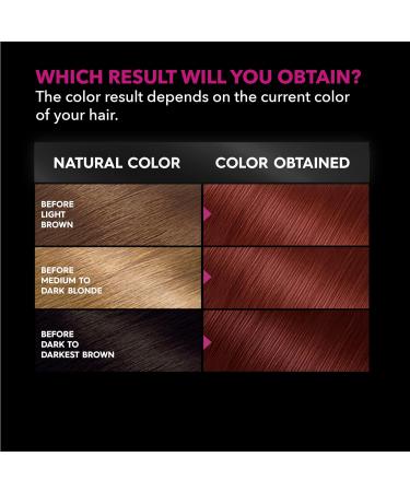 Garnier Olia Hair Color 6.60 Light Intense Auburn - Ammonia-Free Permanent Dye, 2 Pack - Buy Online on GoSupps.com