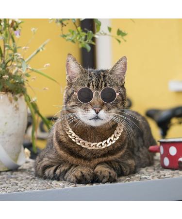 Molain Cat Sunglasses Gold Chain Costume Decorations - UV Protection Retro Black Sunglasses with Rose Gold Chain for Cosplay and Photo Props - Buy Online on GoSupps.com