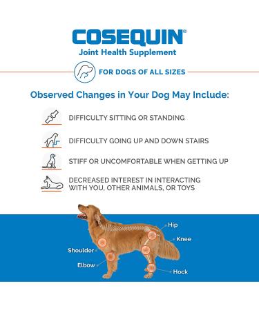 Cosequin Maximum Strength Joint Supplement for Dogs | Glucosamine & Chondroitin Plus MSM - Buy Online on GoSupps.com