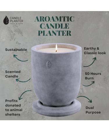 Concrete Cement Candle Planter | Aromatherapy Soy Candles | 8 Oz Black Sandalwood | Strong Scented Home Decor | 50 Hour Burn Time - Buy Online on GoSupps.com