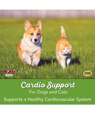 Now Foods Pets Cardiovascular Support for Dogs & Cats - 4.5 oz | Enhance Pet Health - Buy Online on GoSupps.com