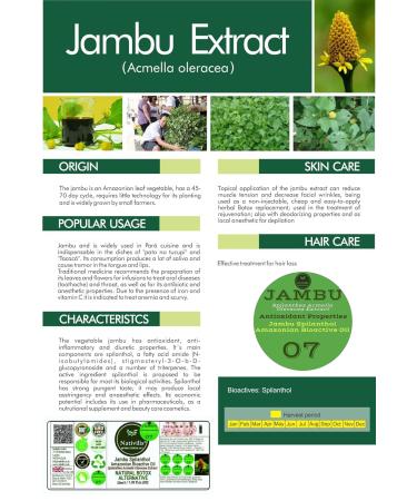 Nativilis Jambu Spilanthol Amazonian Bioactive Oil 1.05 fl oz Natural B-tox Alternative - Buy Online on GoSupps.com