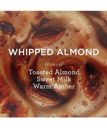 MIX:BAR Whipped Almond Creamy Body Wash for Women Hydrating & Moisturizing with Niacinamide Panthenol & Vitamin C - Vegan Sulfate Free Paraben Free 16oz - Buy Online on GoSupps.com