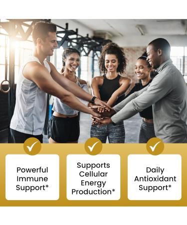 HIMALAYAN ORGANICS Organics Plant Based Vitamin C with Zinc - 120 Veg Capsules - Buy Online on GoSupps.com