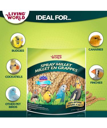 Living World Spray Millet 17.6 Oz - Nutritious Treat for Birds - Buy Online on GoSupps.com