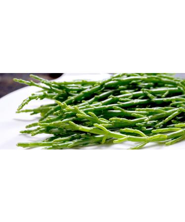 Samphire/Salicornia (100g x2) Ideal for salads steaks fish dishes and much more. A Naturally Salty Grown to be tender and succulent. it's delicious and unique.