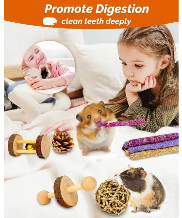 18 Pcs Natural Apple Wood Hamster & Guinea Pig Toy Set for Teeth Health & Exercise - Buy Online on GoSupps.com