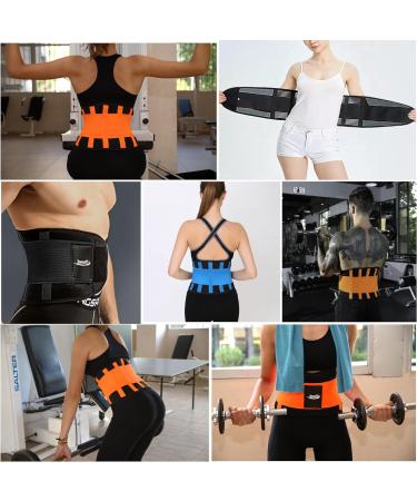 Innoti Back Band for Men & Women - Lumbar Support Belt for Sports & Work | Adjustable Compression | Black M (70-83 cm) - Buy Online on GoSupps.com