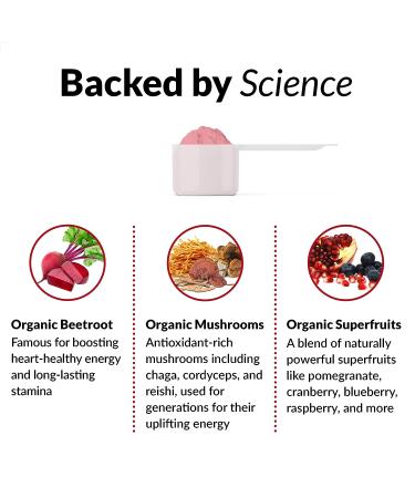 Force Factor Organics Reds Superfood Powder - All-Day Energy Boost with Beet Root & Chaga - Vegan & Non-GMO - 30 Servings - Buy Online on GoSupps.com
