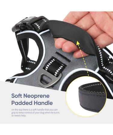 Heele Dog Crockery & No-Pull Harness | Adjustable Reflective Dog Dishes for Large Dogs - Gray XL - Buy Online on GoSupps.com
