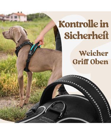 Rabbitgoo Dog Harness for Small Dogs - Adjustable No-Choke Reflective & Padded Chest Harness - Anti-Pull with Handle - Black (1 Pack) - Buy Online on GoSupps.com