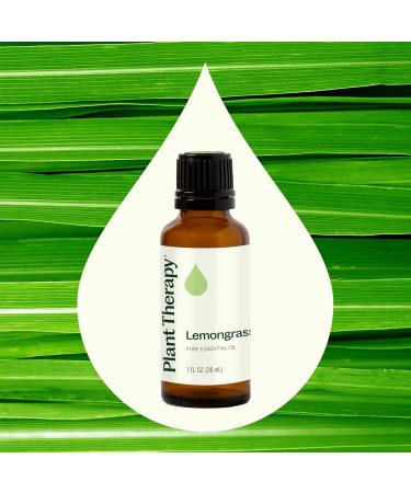Plant Therapy Lemongrass Essential Oil 100% Pure Undiluted Natural Aromatherapy for Diffuser and Skin Therapeutic Grade 30 mL (1 oz) Lemongrass 1 Fl Oz (Pack of 1) - Buy Online on GoSupps.com