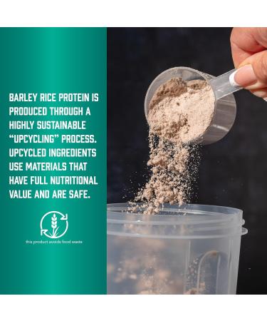 Now Sports Barley Rice Protein Powder Unflavored Highly Sustainable 10 Grams Protein 1.5 lbs. Unflavored 1.5 Pound (Pack of 1) - Buy Online on GoSupps.com