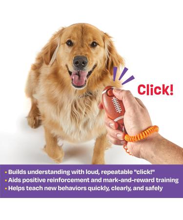 Brightkins Smarty Pooch Training Clicker - American Football Style Dog Clicker for Effective Training | Flexible Hand Loop | Enhance Dog Behavior Solutions - Buy Online on GoSupps.com