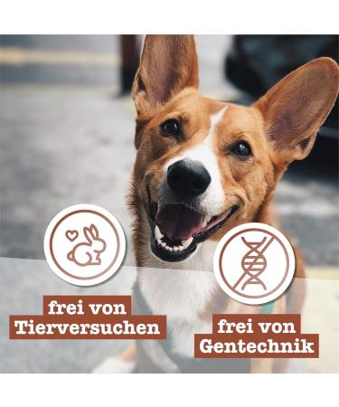 Chewies Maxi Dog Meat Stripes - 100% Wild Meat 150g - Grain-Free & Sugar-Free Treats for Dogs - Buy Online on GoSupps.com