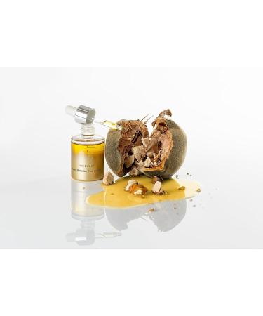 HAIELLE Active Botanical Concentrate 30ml - Revitalizing Hair Growth Oil for Split Ends, Frizz, and Hydration - Buy Online on GoSupps.com