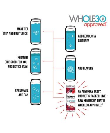 Humm Whole30 Approved Probiotic Kombucha Variety Pack - 2 Billion Probiotics - Organic, Vegan & GMO-Free - No Added Sugar (12 Pack) - Buy Online on GoSupps.com