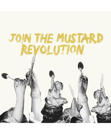 Grey Poupon Old Style Seed Mustard 210g x Pack of 6 French Mustard Brown Prepared with White Wine Whole Grain Mustard - Buy Online on GoSupps.com