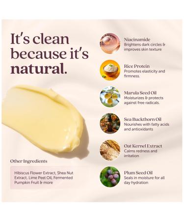 Cosmette Bright Embrace Brightening Eye Cream - Vegan Under Eye Butter for Dark Circles Bags & Wrinkles with Niacinamide - Natural Anti-Aging Sensitive Skin Protection for Clean Beauty 0.5 FL Oz - Buy Online on GoSupps.com