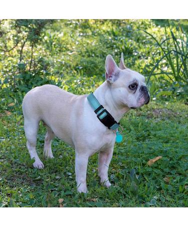 Ladoogo Reflective Dog Collar with Soft Neoprene Padding | Adjustable Nylon Collar for Small, Medium, Large Dogs | Breathable & Reflective | Blue | 1 Pack - Buy Online on GoSupps.com