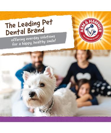 Arm & Hammer Treadz Dental Toy for Strong Chewers - Small Gator - Buy Online on GoSupps.com