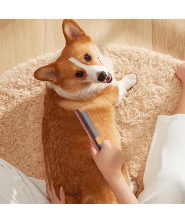 Fine Tooth Comb for Dandruff | Dandruff Removal Comb Practical Kitten Flea Comb Portable Fine Tooth Dandruff Remover Scalp Cleaning Comb for Home Shops - Buy Online on GoSupps.com