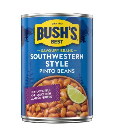 Bush's Best Bush's Southwestern Style Pinto Beans 398 Ml 398 milliliters Southwestern Style Pinto Beans 398 ml (Pack of 1)