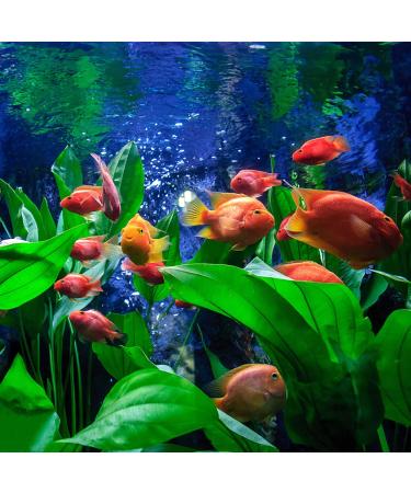 E.YOMOQGG Large 50.8 cm Aquarium Artificial Plants | Realistic Plastic Decoration for Aquariums | Stunning Aquarium Decor - Buy Online on GoSupps.com