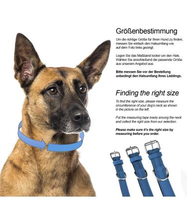 Premium Leather Dog Collar with Sniffing Fans - Padded & Robust for Small Medium Large Dogs (M: 28-36cm Blue) - Buy Online on GoSupps.com
