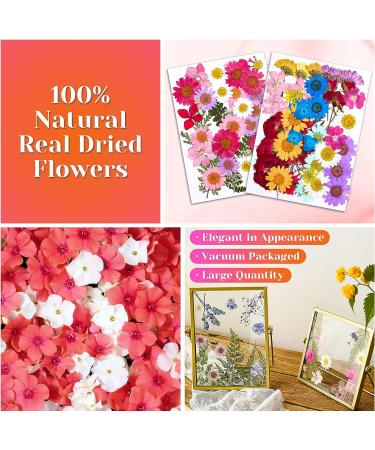 Real Dried Pressed Flowers for Resin - 150 Pcs Natural Dry Flowers & Leaves Kit for DIY Crafts - Scrapbooking, Jewelry Making, Candle & Soap Making Supplies - Buy Online on GoSupps.com