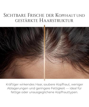 HADAT Root Strengthening Shampooing anti-pelliculaire clarifiant au romarin pour cuir chevelu gras Hydratant et renfor ant pour homme et femme Fabriqu en Isra l - Buy Online on GoSupps.com