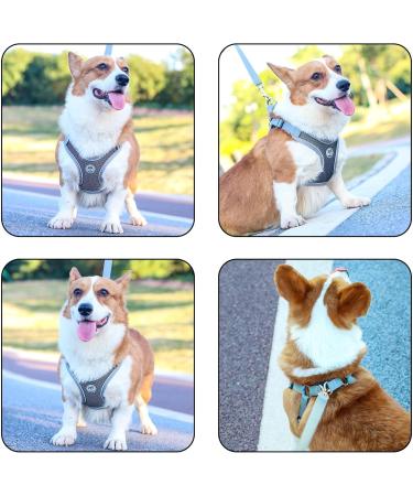 Coolzon Dog Harness for Small Dogs - Breathable Adjustable Anti-Pull Reflective Safety Dishes for Walking & Jogging | Black - Buy Online on GoSupps.com