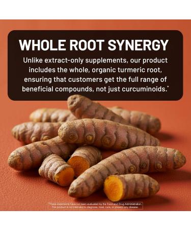 NatureWise Turmeric Curcumin with Black Pepper 2600mg - Ultra Absorption Turmeric Curcumin Supplement + BioPerine - Naturally-Sourced Vegan Non-GMO USA Manufactured - 120 Capsules 30-Day Supply  - Buy Online on GoSupps.com