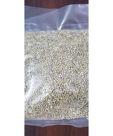 Ikshvaku Pearl Millet | Bajra - Premium Quality Whole Grains for a Healthy Diet - Buy Online on GoSupps.com