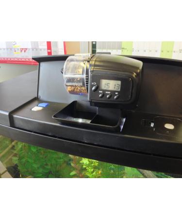 Interpet Insight Aquarium Auto Feeder - Black | Convenient Automatic Fish Feeding Solution - Buy Online on GoSupps.com