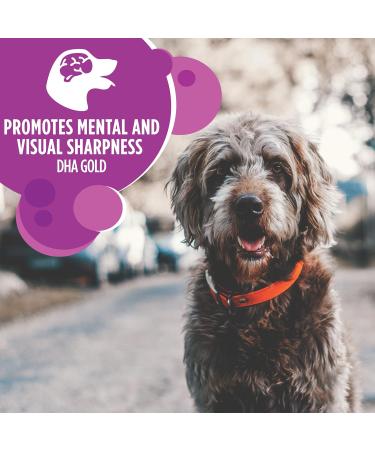 IAMS Proactive Health Dog Food Dry Adult Large Breed Chicken & Whole Grains Recipe + IAMS Proactive Health Dry Dog Food - Mature (7+) - Original Dog Food+ Dog Food 6.8kg 6.80 kg (Pack of 1) - Buy Online on GoSupps.com