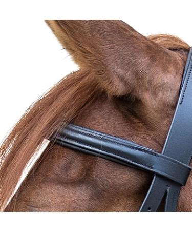 WALDHAUSEN Star Bridle Bitless - Black | Premium Tack for Thoroughbreds | International Shipping Available - Buy Online on GoSupps.com