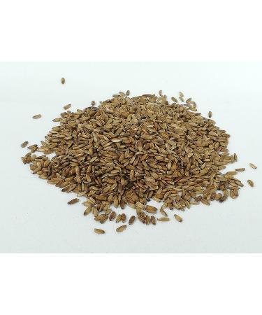 IGART Milk Thistle Seeds 1.5kg | Milk Thistle Natural | Tea | Milk Thistle Tea | Silybum Marianum | Herbal Tea 1.5 kg (Pack of 1) - Buy Online on GoSupps.com