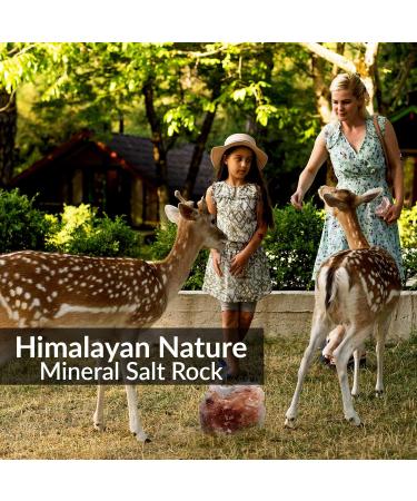 Himalayan Nature Deer Attractant Salt Mineral Rock - 100% Natural Licking Rock - Buy Online on GoSupps.com