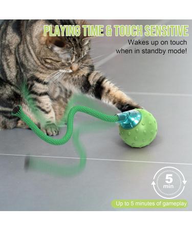 IOKHEIRA Interactive Cat Toy Cat Toys for Indoor Cats Adult Motion Activated Automatic Moving Ball Toy Electric Automatic Cat Toys with 2 Long Tail Teaser Suitable for All Floors and Carpets Green - Buy Online on GoSupps.com