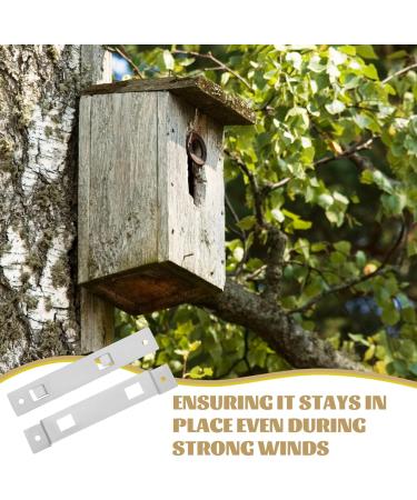 Patkaw Vogelhaus Montagehralung - Premium Bird House Attachment for Nesting Boxes & Feeders | International Shipping Available - Buy Online on GoSupps.com